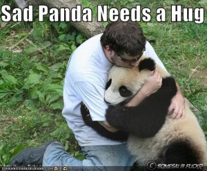 Sad_Panda Sad_Panda